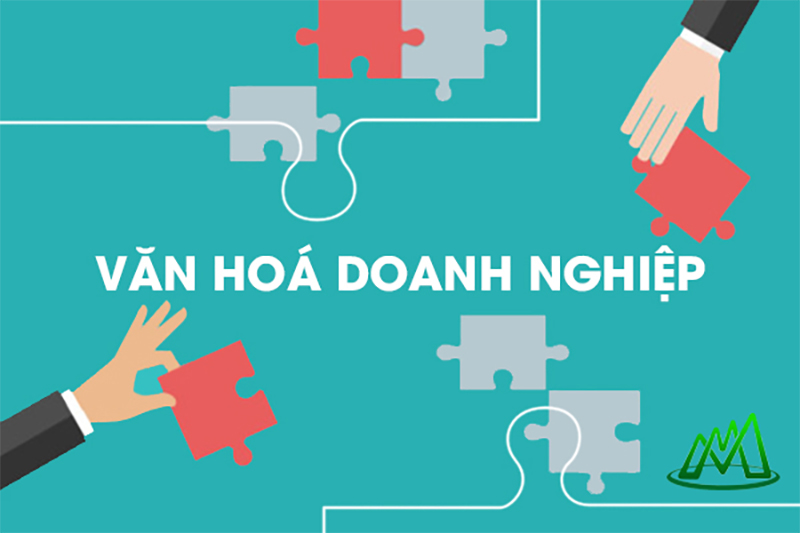 Văn hoá doanh nghiệp bắt nguồn từ giá trị cốt lõi
